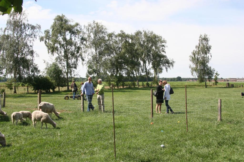 B&B Artiriacumhoeve Zedelgem Bagian luar foto