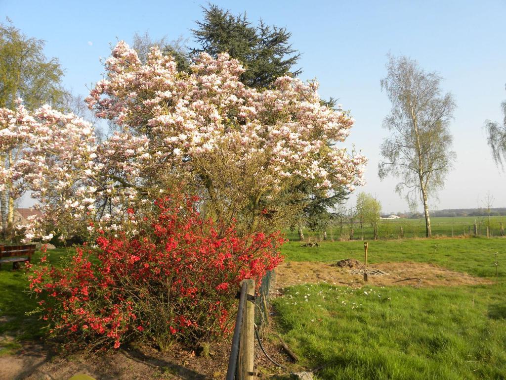 B&B Artiriacumhoeve Zedelgem Bagian luar foto